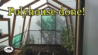 Diy poly tunnel from pallets pt2 finished!