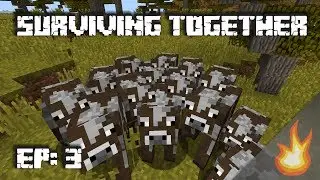 CATTLE HERDING | Survinia | [Episode 3]