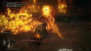ELDEN RING Midra Lord Of Frenzied flame  solo win
