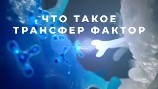 Трансфер фактор - что это и как он работает