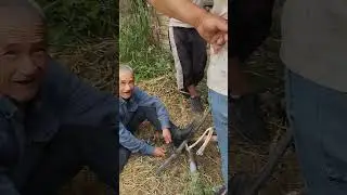 Янги ноокатни Яш насоснини электрик кайта тамирлаши
