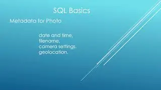 SQL Basics   Metadata