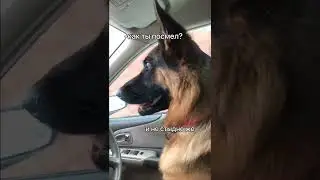 Jealous as a girl