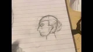 Weekly drawings