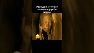 Один день из жизни малыша в утробе  #женскоездоровье #беременность #малыш #скоромама