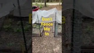 Protecting the Winter Garden from pests at my #diy #homestead ￼