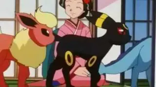 ✫ Eeveelutions [AMV] ✫