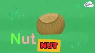 The 'N' Sound and Its Words