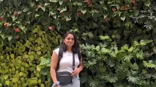 Beautiful #banglore #airport #Terminal2 #hanginggarden