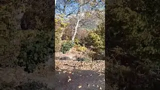 Güzelim sonbahar...