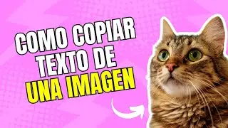 Usa la herramienta de recortes para copiar texto de una imagen