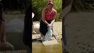 LOS 4 TALENTOS DE ROSALÍA💪