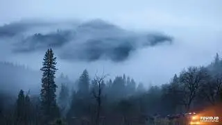 Неуслышанный ответ