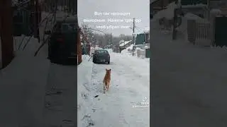 чистим снег на улице