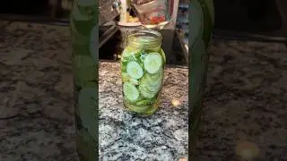 Homemade Pickles ❤️ #homemadepickles #claussencopycat #hoebrined #recipes