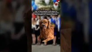 СТРАШНЫЙ СОН😁Залетай в чатик 11кл,поддержка и высокие баллы обеспечены, ссылка в шапке #химия #егэ