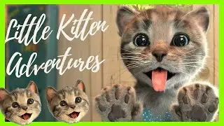 Yavru Kedi Kostüm Partisi 