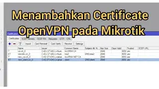Cara Menambahkan Certificate OpenVPN di Mikrotik