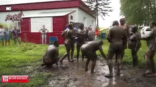 Вся Россия в одном видео, свиньи дома