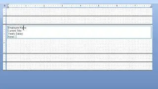 How to Add Crystal Reports Fields in Text Objects