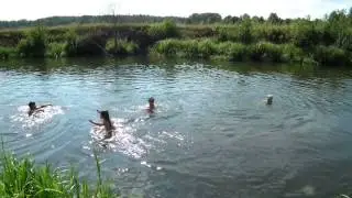 2014 08 11 Бабушка и дедушка тоже полезли купаться