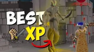 BEST melee XP in OSRS: Sulphur Naguas