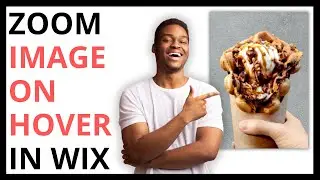 How to Zoom Image on Hover in Wix [QUICK GUIDE]