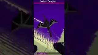 dont put a ender dragon on the nether #memes #subscribe #minecraft