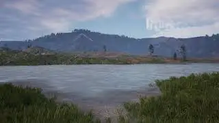 Pine Forest Audio Implementation