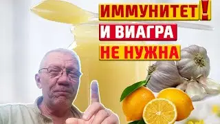 Трутневый гомогенат, лимон, чеснок Мужская и женская сила Как приготовить, хранить, принимать