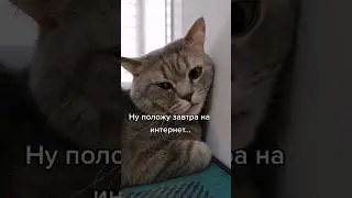 положу завтра на интернет