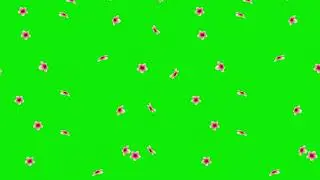 falling flower green screen  video | Falling Rose on Screen green screen video