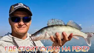 Где стоит судак? Джиг с лодки на Дону!