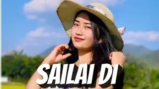 playdate×Sailai di || XML file in the description