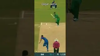 Great Catch 👌👌👌 #shorts #cricketshorts #youtubeshorts