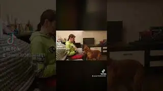 Утренние разборки!