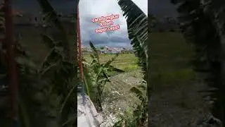cara bongkar kolom