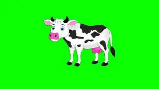 Cow green screen no copyright free video/Cow green screen video