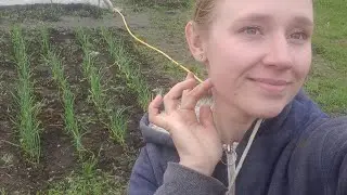Молода Ферма: 
