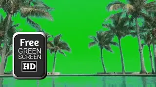 Palm tree animation green screen video effects | Green screen palm trees | Green screen tree video