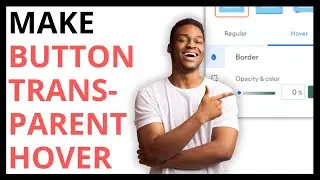 How to Make Button Transparent on Hover on Wix [QUICK GUIDE]