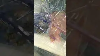 15 сентября 2022 г.(2)