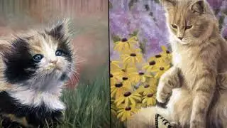 Кошки моей души...Монтаж@lu
