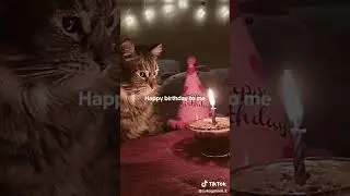 Happy birthday to me 🥳🎂