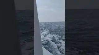 Урзуф 2021