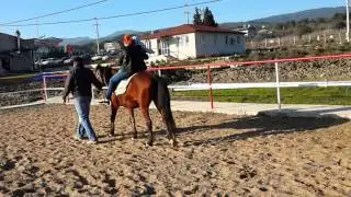 Çiçekli köy 13.12.2015