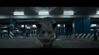 Pig Transformation