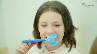 ARK's ark therapeutic: насадки в виде животных
