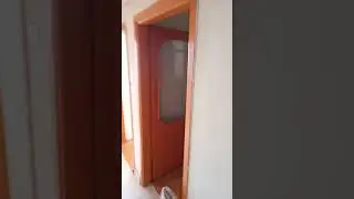 Kalorifer Böceğinden Nasil Kurtulurum