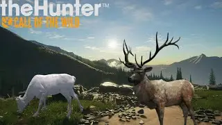 Elk Hunt On SRP Leads Us To Cool Rares